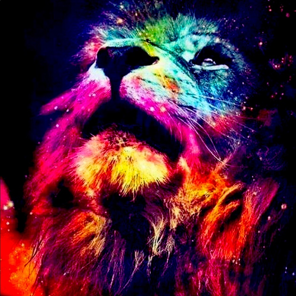 Lion in the dark